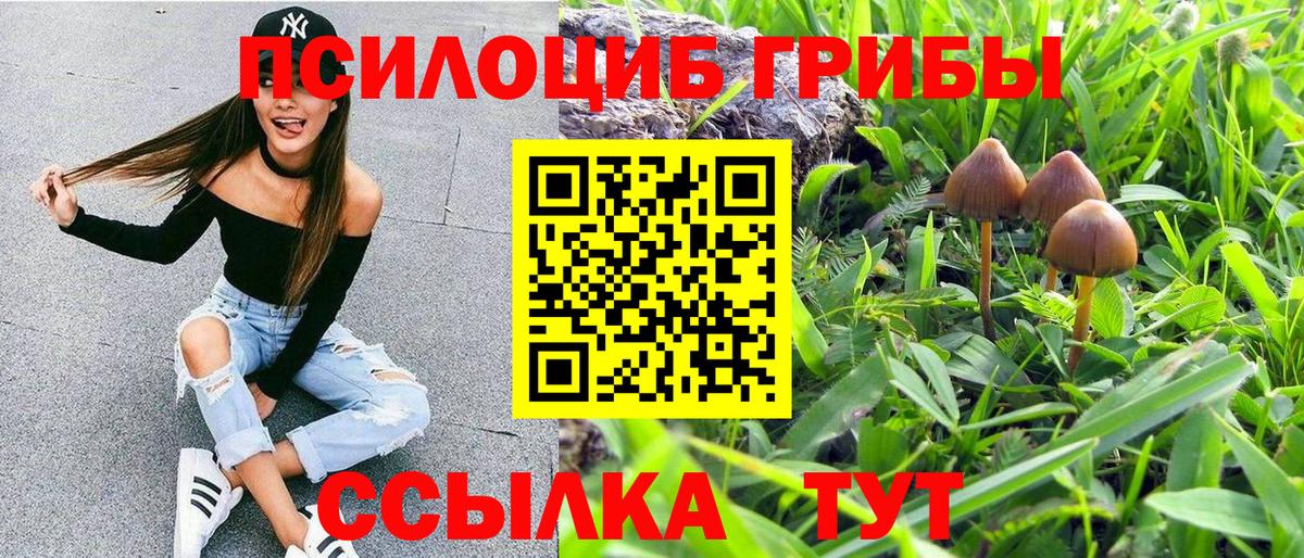 Псилоцибиновые грибы Magic Shrooms Изобильный